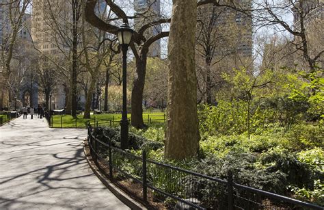 Walking Through Tree Magic: NYC's Most Magical Trails
